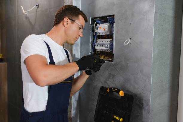 Best Electrical System Inspection  in Elleale, ND